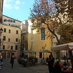 Monteggia *