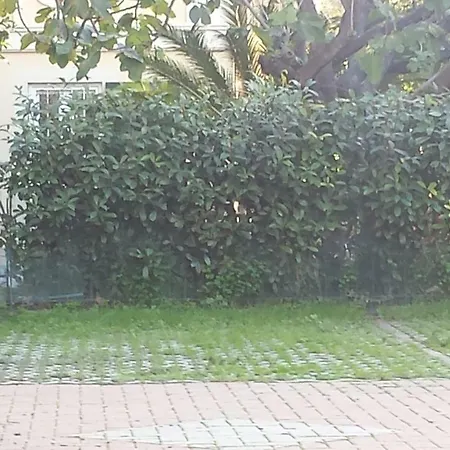 Monteggia 아파트